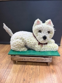3D Westie laying dog