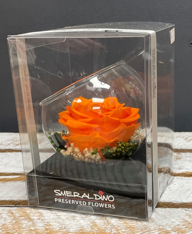 Preserved Rose   Orange