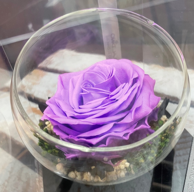 Preserved Rose   Purple