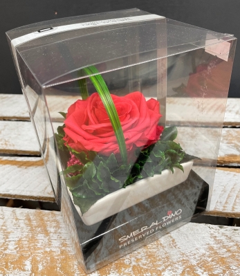 Preserved Rose   Raspberry