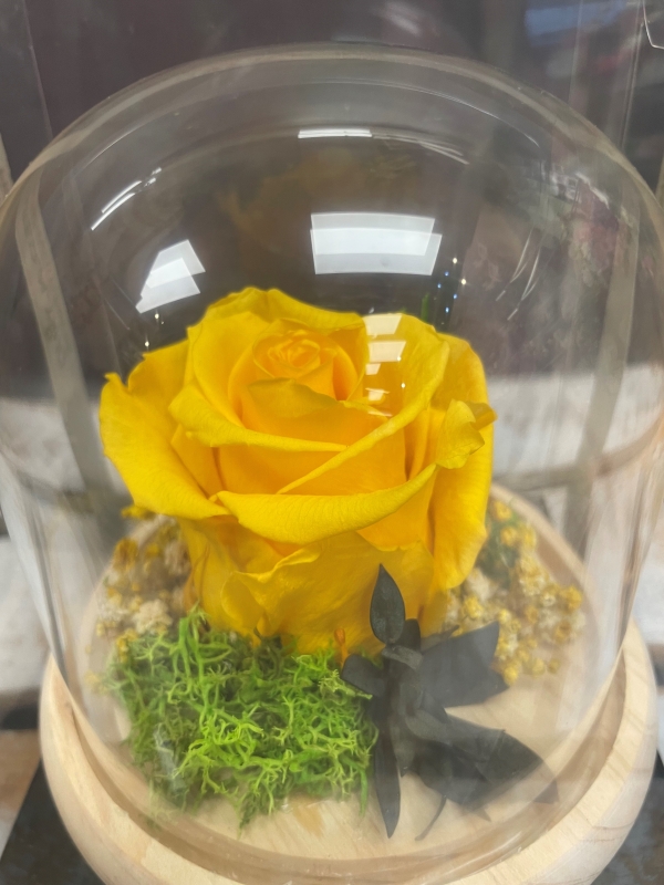 Preserved Rose   Yellow