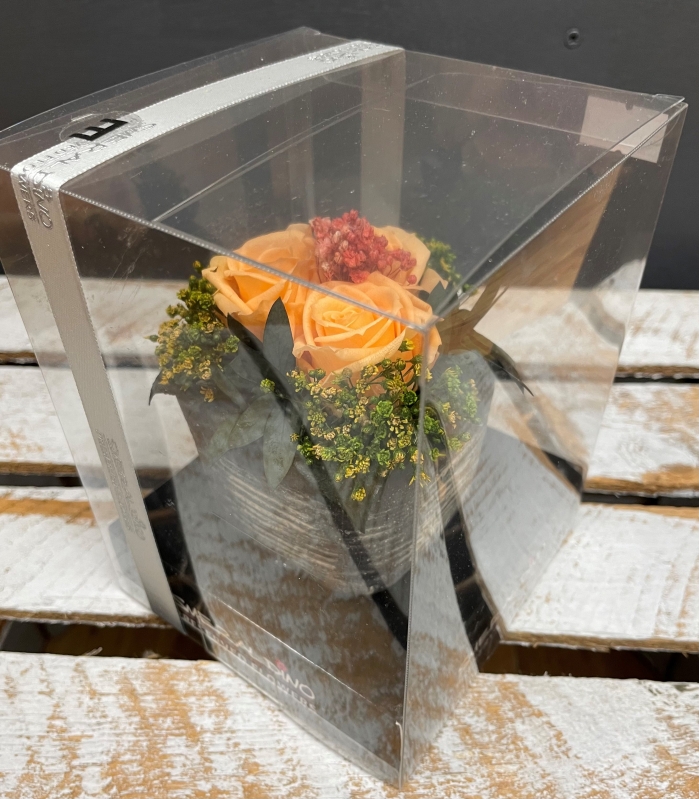 Preserved Spray Rose   Peach