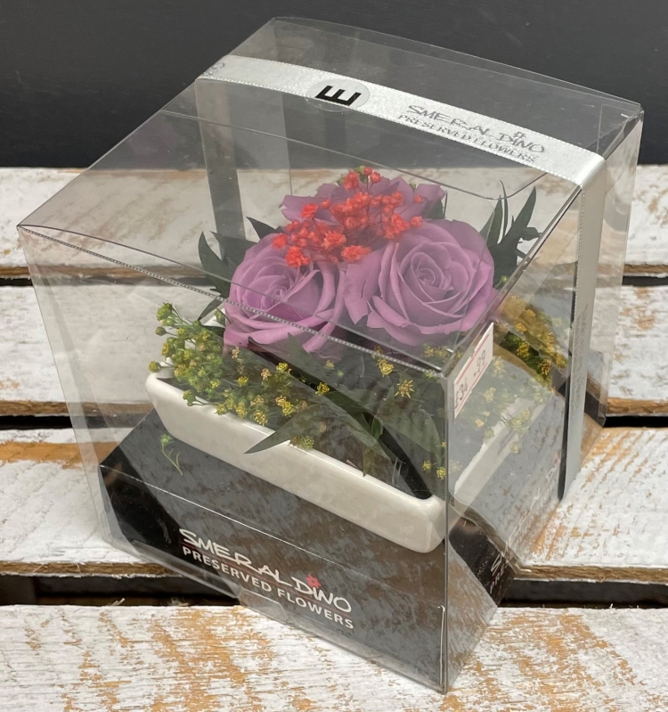 Preserved Spray Rose   Purple