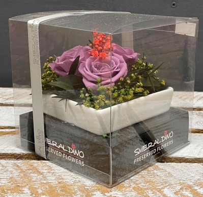 Preserved Spray Rose   Purple