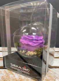 Preserved Rose   Purple