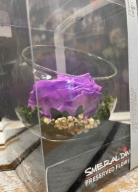 Preserved Rose   Purple