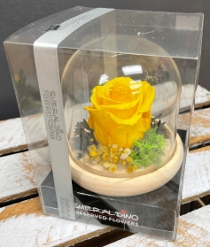 Preserved Rose   Yellow