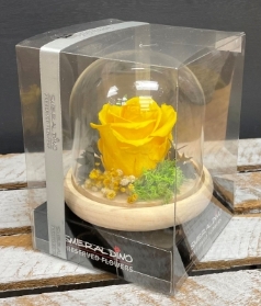 Preserved Rose   Yellow