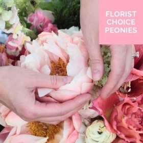 Florist Choice Seasonal